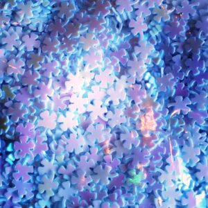 Glitter (Fimo) 10g - Trevo FrutaCor